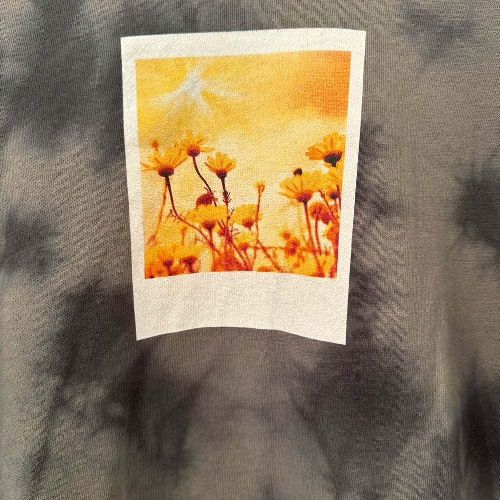 Polaroid‎ - Picture 4 of 6